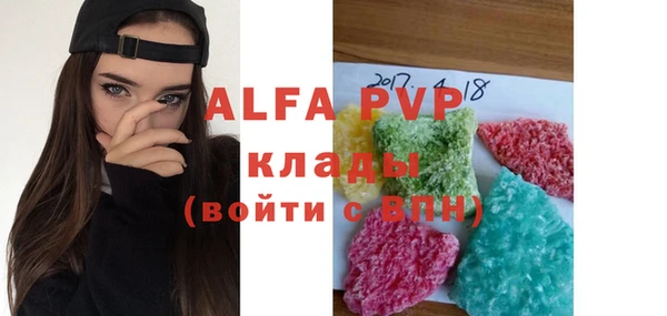 индика Сатка